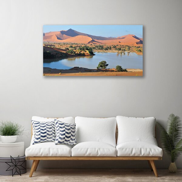 Obraz Canvas Jazero púšť krajina 100x50 cm