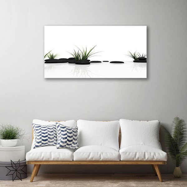 Obraz Canvas Tráva kamene umenie 100x50 cm