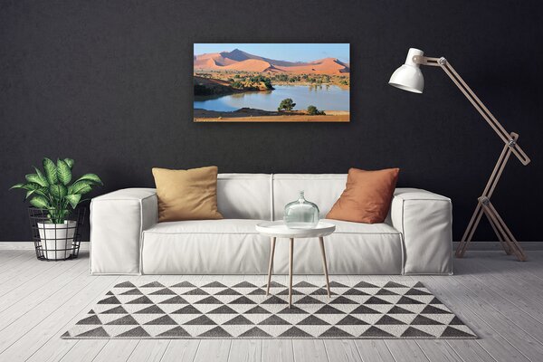 Obraz Canvas Jazero púšť krajina 100x50 cm