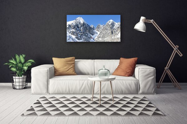 Obraz Canvas Hora sneh príroda 100x50 cm