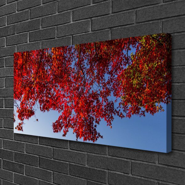 Obraz Canvas Strom listy vetvy príroda 100x50 cm