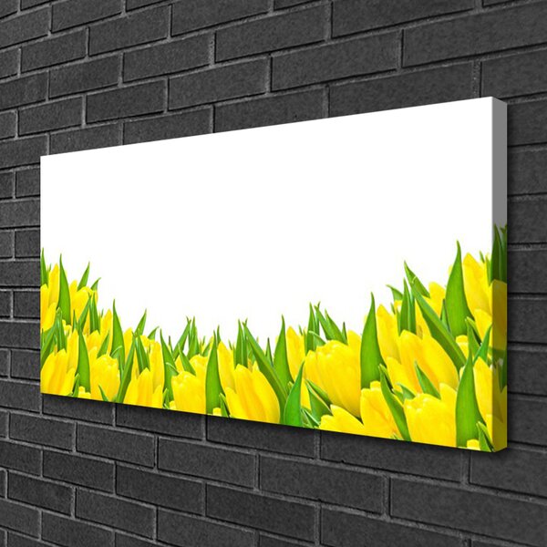 Obraz Canvas Kvety príroda tulipány 100x50 cm