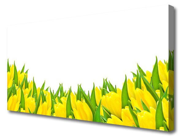 Obraz Canvas Kvety príroda tulipány 100x50 cm