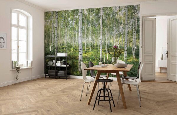 FOTOTAPETA velikost: 368/254 cm Komar - Online Only bytové doplnky, Online Only