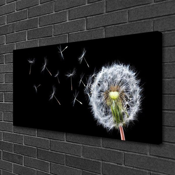 Obraz Canvas Púpavy kvety príroda 100x50 cm