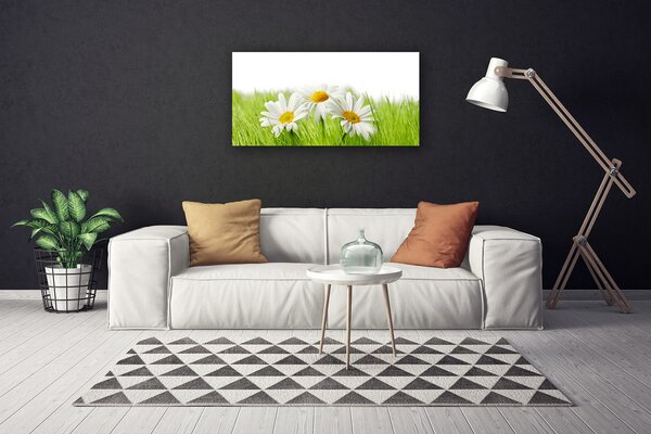 Obraz Canvas Sedmokráska kvety rastlina 100x50 cm