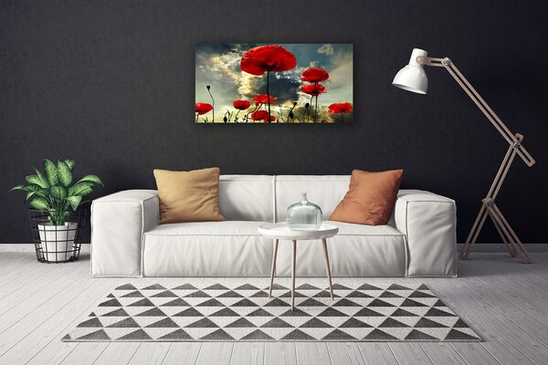 Obraz Canvas Maky kvety príroda 100x50 cm