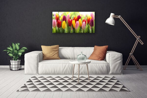 Obraz Canvas Tulipány kvety príroda 100x50 cm