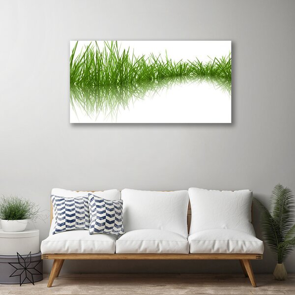 Obraz Canvas Tráva príroda rastlina 100x50 cm