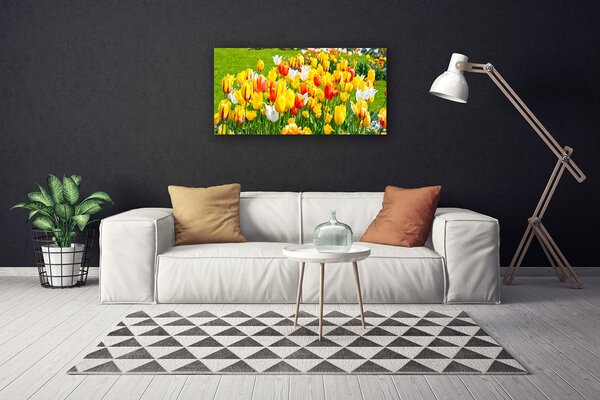 Obraz Canvas Tulipány kvety príroda 100x50 cm