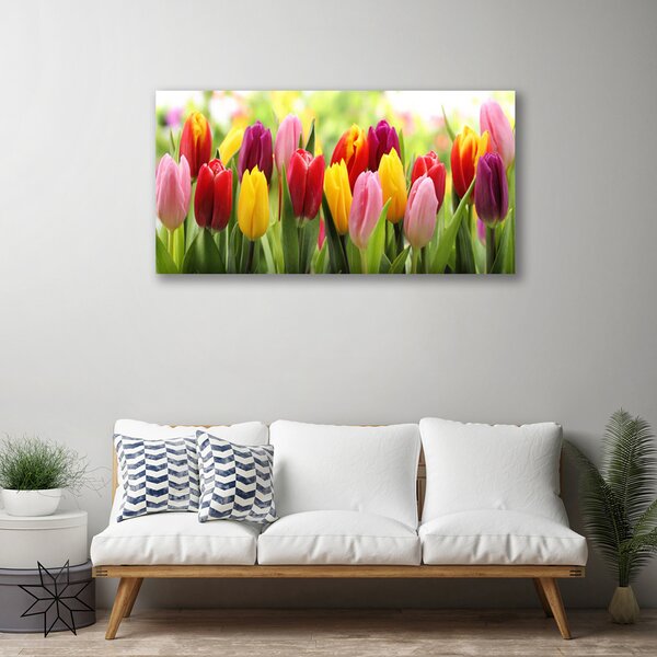 Obraz Canvas Tulipány kvety príroda 100x50 cm