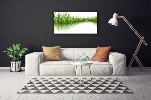 Obraz Canvas Tráva príroda rastlina 100x50 cm