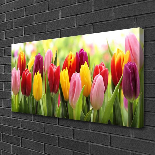 Obraz Canvas Tulipány kvety príroda 100x50 cm