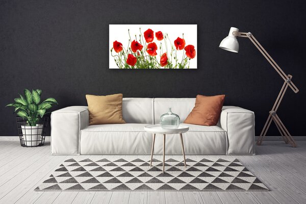 Obraz Canvas Maky kvety príroda 100x50 cm