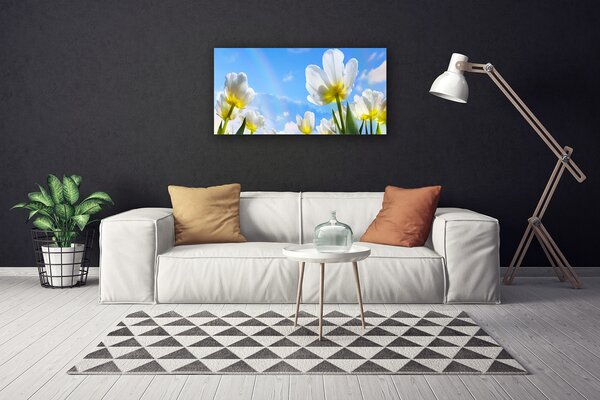 Obraz Canvas Rastliny kvety tulipány 100x50 cm