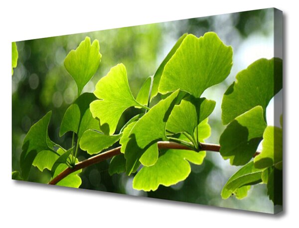 Obraz Canvas Vetvy listy príroda strom 125x50 cm