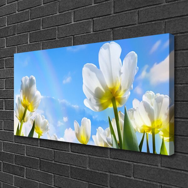 Obraz Canvas Rastliny kvety tulipány 100x50 cm