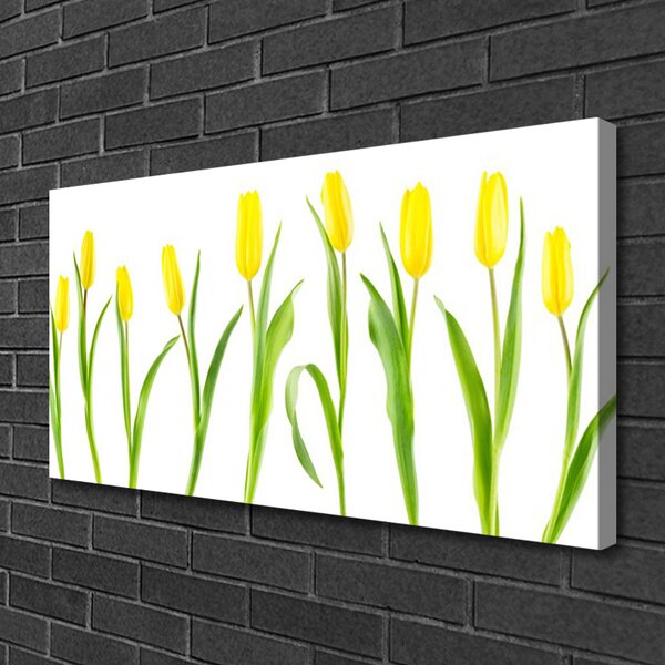 Obraz Canvas Žlté tulipány kvety 100x50 cm