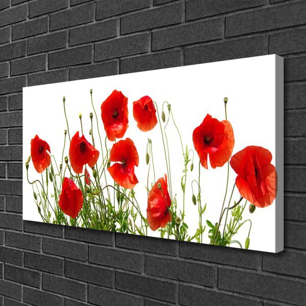 Obraz Canvas Maky kvety príroda 100x50 cm