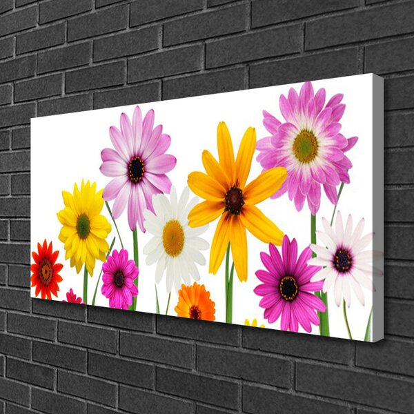 Obraz Canvas Farebné kvety príroda 100x50 cm