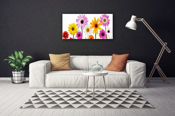 Obraz Canvas Farebné kvety príroda 100x50 cm