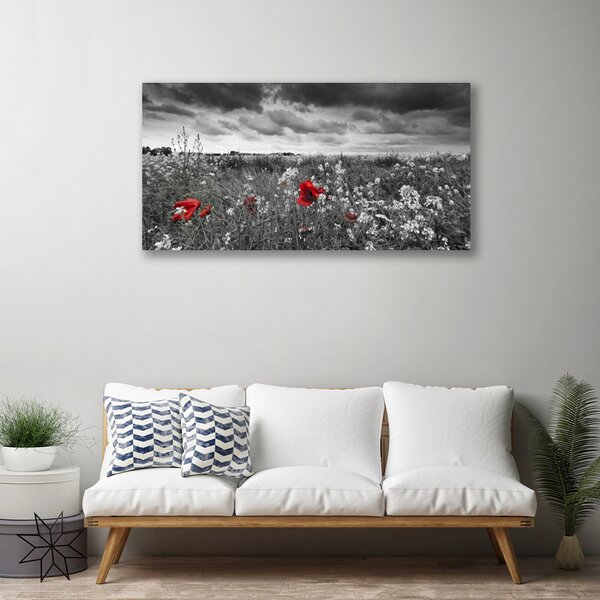 Obraz Canvas Lúka kvety príroda 100x50 cm