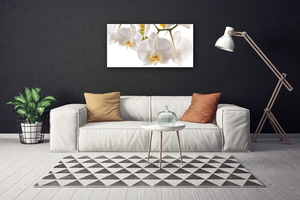 Obraz Canvas Orchidea kvety príroda 100x50 cm