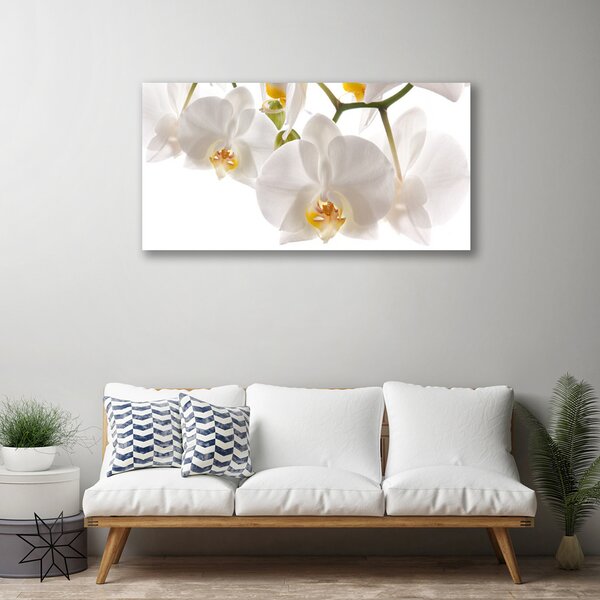 Obraz Canvas Orchidea kvety príroda 100x50 cm