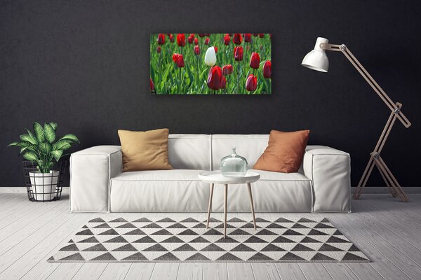 Obraz Canvas Tulipány kvety príroda 100x50 cm