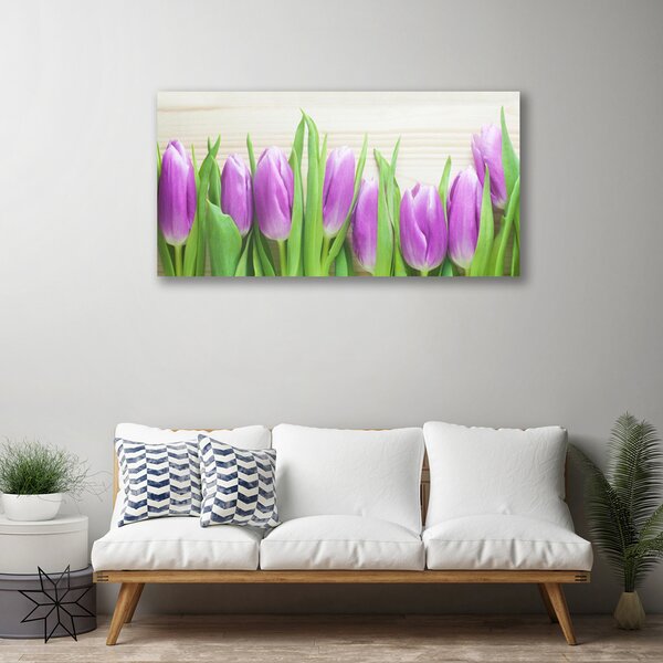 Obraz Canvas Tulipány kvety príroda 100x50 cm