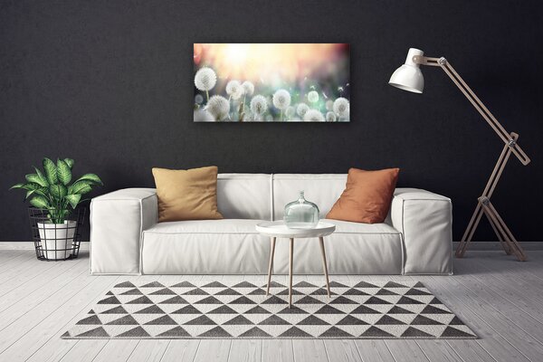 Obraz Canvas Púpavy kvety príroda 100x50 cm
