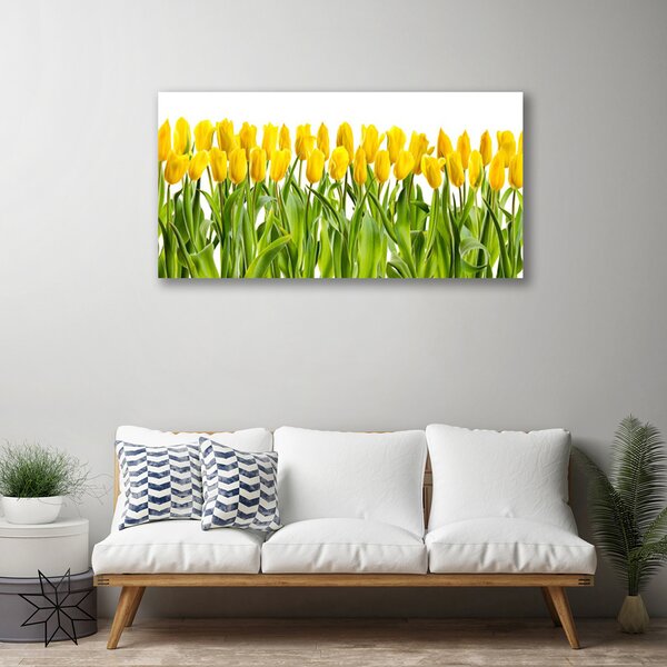 Obraz Canvas Tulipány kvety príroda 100x50 cm