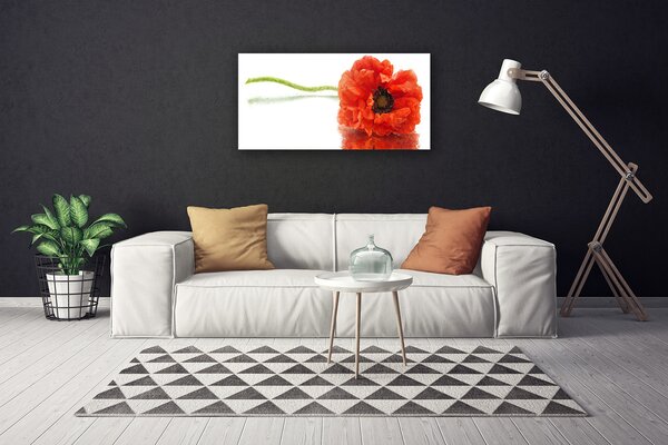 Obraz Canvas Kvety príroda 100x50 cm