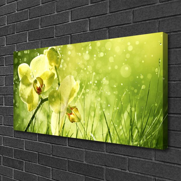Obraz Canvas Tráva príroda rastlina 100x50 cm