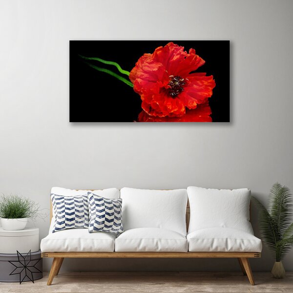 Obraz Canvas Kvet mak rastlina príroda 100x50 cm
