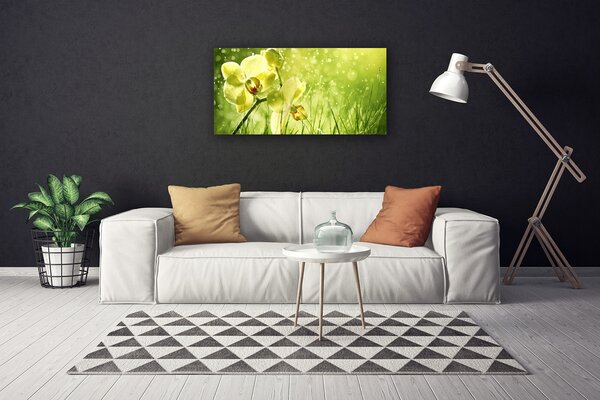 Obraz Canvas Tráva príroda rastlina 100x50 cm