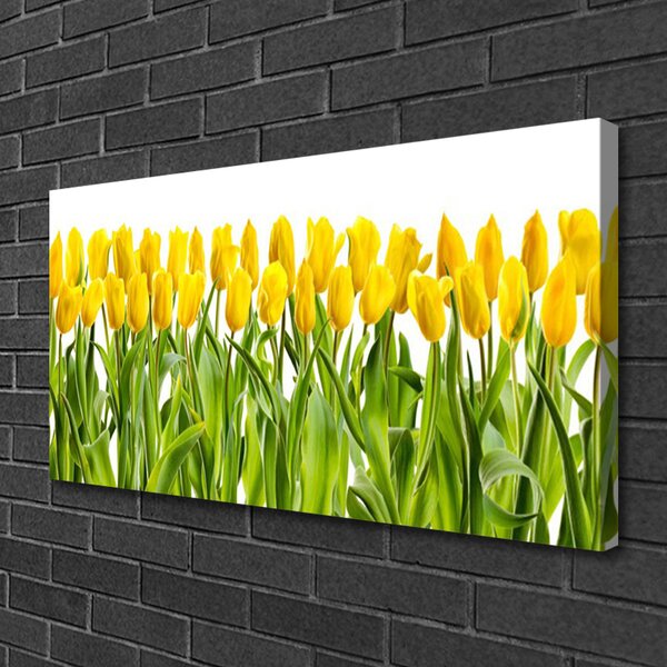 Obraz Canvas Tulipány kvety príroda 100x50 cm