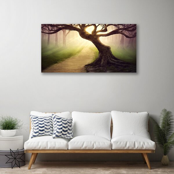 Obraz Canvas Strom lúče slnko 100x50 cm