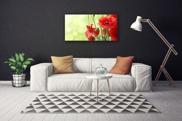 Obraz Canvas Maky kvety príroda 100x50 cm
