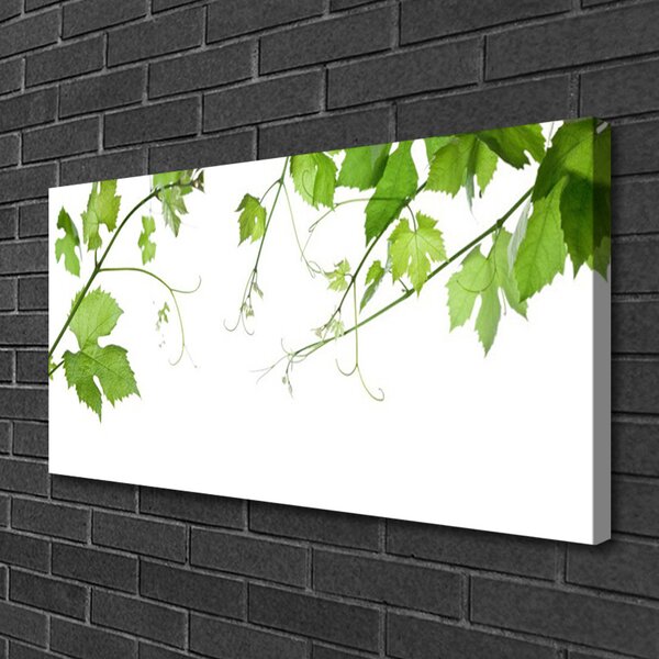 Obraz Canvas Vetvy listy príroda kvety 100x50 cm