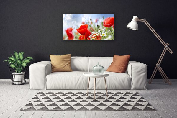Obraz Canvas Maky sedmokrásky kvety 100x50 cm