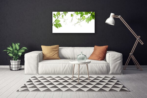 Obraz Canvas Vetvy listy príroda kvety 100x50 cm