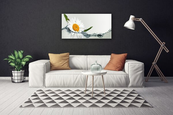 Obraz Canvas Sedmokráska vo vode 100x50 cm