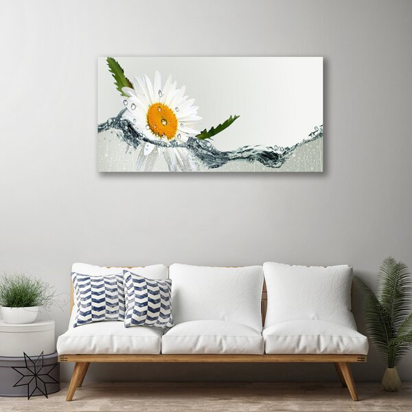 Obraz Canvas Sedmokráska vo vode 100x50 cm