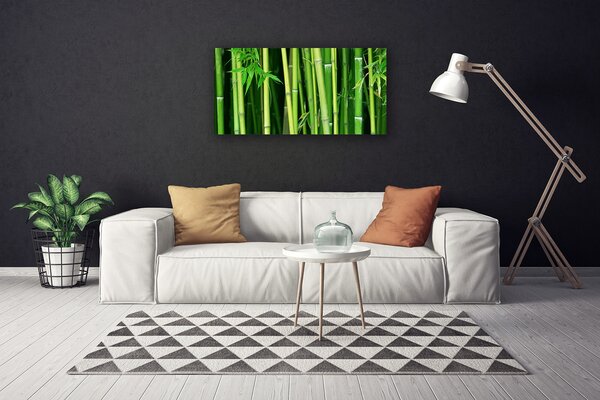 Obraz Canvas Bambusový les bambus príroda 100x50 cm
