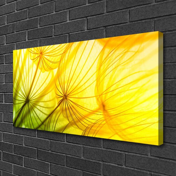 Obraz Canvas Púpavy kvety príroda 100x50 cm