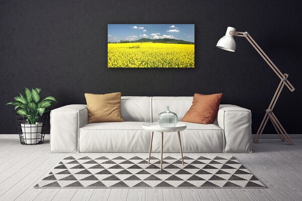 Obraz Canvas Pole lúka príroda repky olejnej 100x50 cm