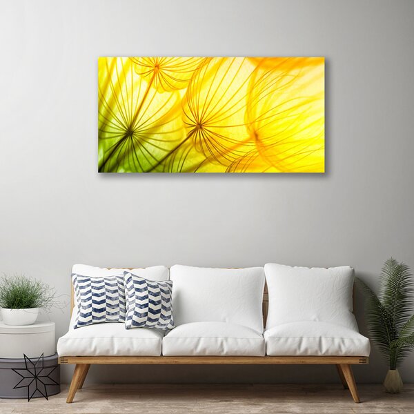 Obraz Canvas Púpavy kvety príroda 100x50 cm