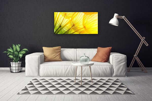 Obraz Canvas Púpavy kvety príroda 100x50 cm