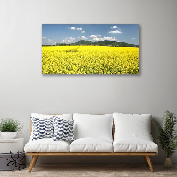Obraz Canvas Pole lúka príroda repky olejnej 100x50 cm